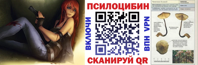 площадка официальный сайт  Будённовск  Псилоцибиновые грибы MAGIC MUSHROOMS  купить закладку 
